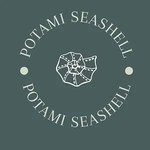 Potami Seashell Himare